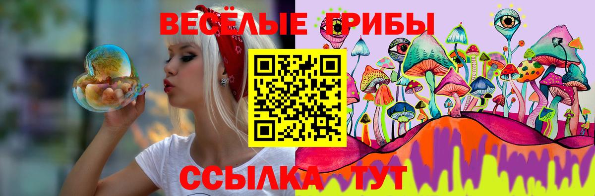 Галлюциногенные грибы Psilocybe Шелехов