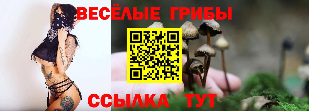 Галлюциногенные грибы Psilocybine cubensis  Галлюциногенные грибы мухоморы  Шелехов  Вход с VPN 